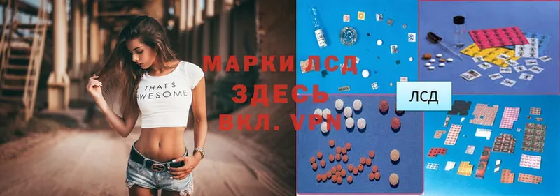 Лсд 25 экстази ecstasy Злынка